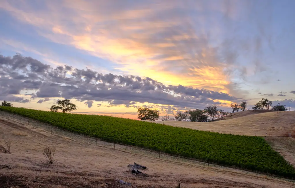 Tellurian Heathcote Shiraz